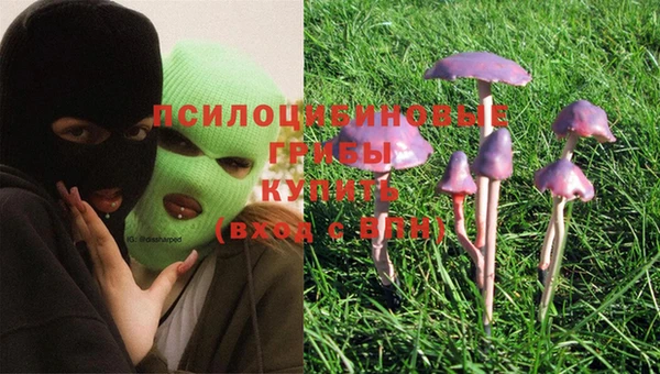 кокаин VHQ Белокуриха